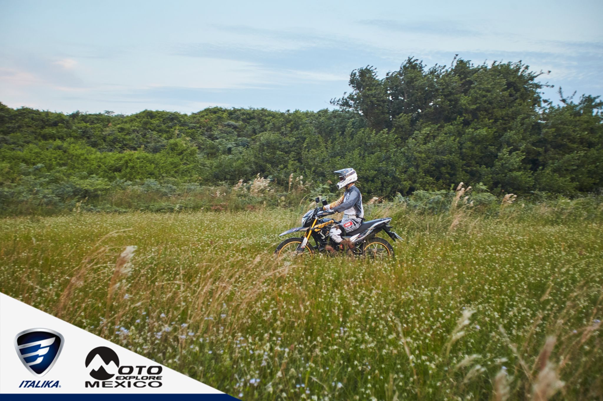 ITALIKA CHACHALACAS D1 407